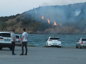 Bandırma’da arazi yangını