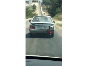 Kurbanlık koyun bagajda böyle taşındı