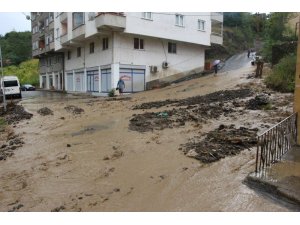 Trabzon’da aşırı yağış heyelana neden oldu