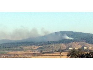 Kahramanmaraş’ta orman yangını