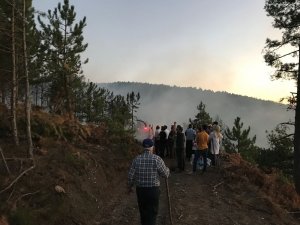 Kaymakam ve vatandaşlar, ormanı yanmaktan kurtardı