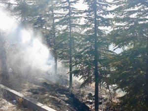 Sungurlu’da korkutan yangın