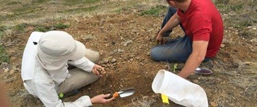 Kanada’da 23 milyon yıllık fosil bulundu