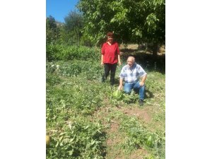 Ekolojik Pazar Projesiyle organik tarım değer kazanıyor