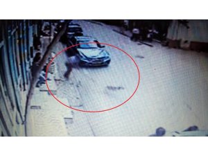 Yol kenarındaki köpeği odunla yaraladı