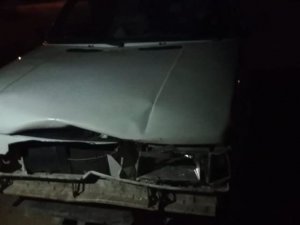 Otomobil domuza çarptı: 2 yaralı