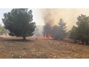 Dünyanın bilinen en eski tapınaklarından Göbeklitepe Arkeolojik Alanı yakınlarındaki ormanlık alanda henüz bilinmeyen bir nedenle yangın çıktı. Bölgeye çok sayıda itfaiye ekibi sevk edildi. Haliliye ilçesi Atatürk Ormanlık a