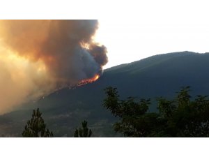 Kastamonu’da orman yangını