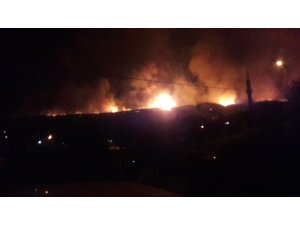 Kastamonu’da ormanlık alanda çıkan yangın devam ediyor