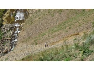 Kars’ta şelaleden düşen genç yaralandı