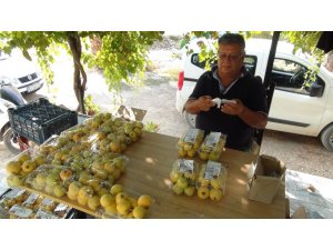 Türkiye’nin ilk guava üreticisi