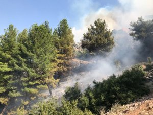GÜNCELLEME - Manisa'da orman yangını