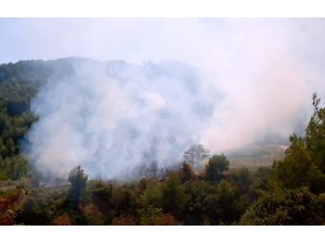 Hatay’da orman yangını