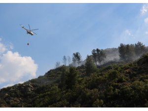 Manisa Spil Dağında orman yangını