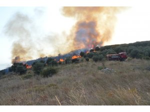 Çoban ateşi ormanı yaktı