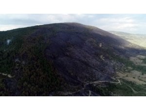 Kastamonu’da çıkan orman yangının enkazı havadan görüntülendi