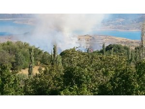 Anız yangınında ağaçlar zarar gördü