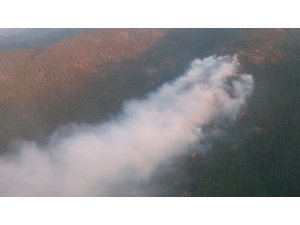 GÜNCELLEME - Hatay'daki orman yangını