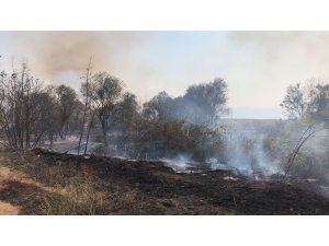 İznik’te sazlık yangını