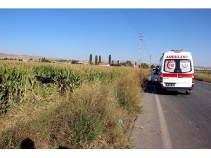Otomobil mısır tarlasına uçtu: 2 yaralı