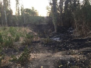 Bahçesindeki otları yakmak isterken kendini yaktı