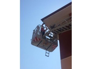Apartmanın çatısındaki boşluğa sıkışan Ebabil kuşunu itfaiye kurtardı