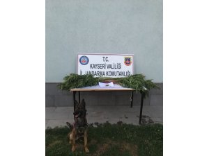 Jandarma bayramda da uyuşturucuya geçit vermedi