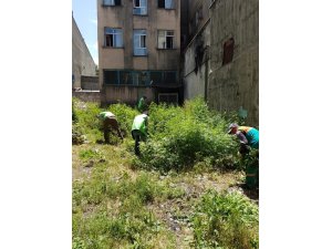 Erzurum’da 1 milyon 878 bin 665 kök Hint keneviri imha edildi