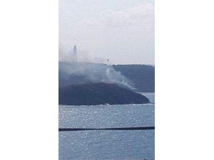 GÜNCELLEME - Beykoz'da orman yangını