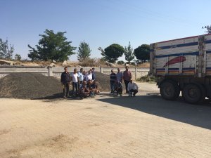 Kırıkkale'de yağlık ayçekirdeği alımı başladı