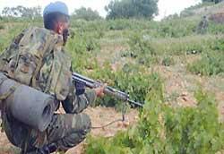 Komandonun Kahreden Ölümü