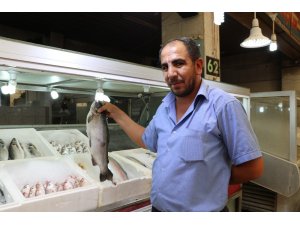 Balıkçı esnafı sezonun açılmasını bekliyor