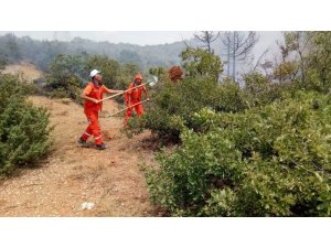 Bingöl’de ormanlık alanda yangın