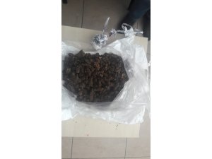 Uyuşturucu satıcıları yakalandı