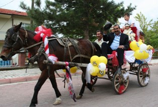 Sünnet için at arabasını süslediler