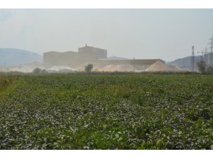 Söke Ovası’nda toz tehdidi