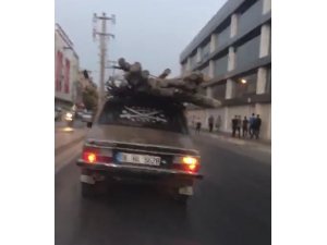 Otomobil üzerinde odun sevkıyatı
