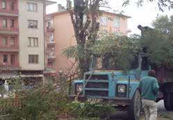 Ereğli Belediyesinde kış mesaisi