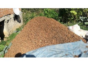 Fındık 1,78 milyar dolar kazandırdı