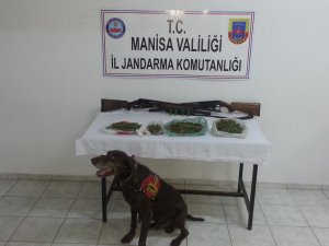 Jandarma esrara geçit vermedi