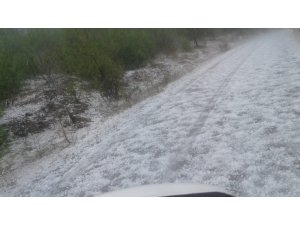 Başkan Yaralı dolunun vurduğu mahallelerde