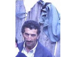 Üzerine ağaç devrilen şahıs, hayatını kaybetti