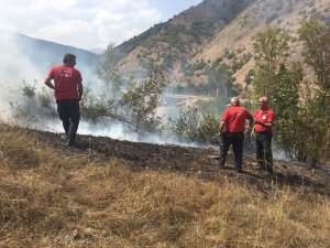 Gümüşhane'de örtü yangını