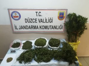 Düzce’de jandarmadan uyuşturucu operasyonu