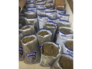 GÜNCELLEME - Aydın'da uyuşturucu operasyonu