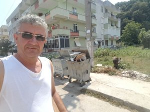 Yaban domuzuyla selfie yaptı