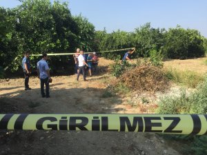 Adana’da portakal bahçesinde ceset bulundu