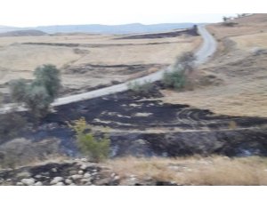 Sungurlu’da arazi yangını