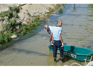 Mersin’de DSİ kanalında erkek cesedi bulundu