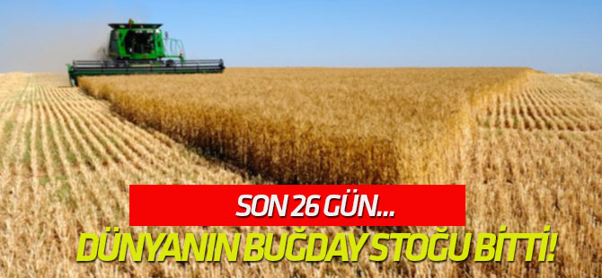 Dünyanın buğday stoğu bitti!
